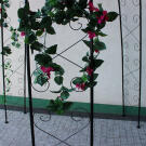 GardenLine növényfuttató lugas - 180 x 39 x 240 cm