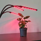 Gardlov Tripla növény termesztő lámpa (40 LED)