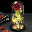 Rózsa üvegbúra alatt beépített LED fényekkel és rózsaszirmokkal - 22x11,5 cm