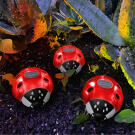 Szolár katicabogár - piros - 14,5 x 12 x 6 cm - 6 melegfehér LED